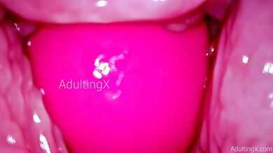 Inside a Camgirl Cervix POV Camera in Vagina with Pink Vibrating Toy