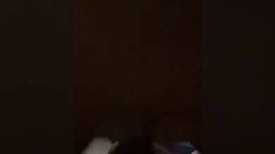 Шлюха скачет на члене и кончает