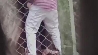 Desi Aunty Sex With Uncle In Park