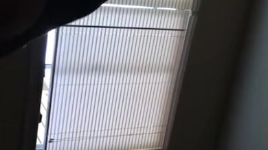 Phat Ass Redbone takes BBC