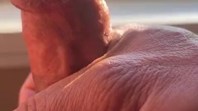 Good Morning Sunshine