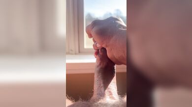 Good Morning Sunshine