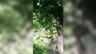 Have no clue as always looks promising tho/ lmao its mi armadilla family yo