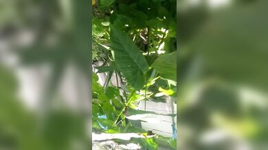 Have no clue as always looks promising tho/ lmao its mi armadilla family yo