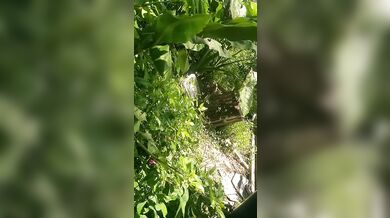 Have no clue as always looks promising tho/ lmao its mi armadilla family yo