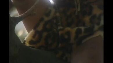 german busty chubby mature ffm threesome