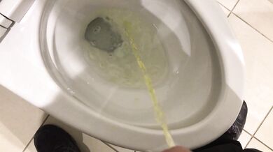 Pissing in the Toilet at my Posh work environment (Compilation)