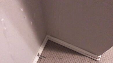 Pissing all over my bedroom carpet and wall, leave a huge messy puddle