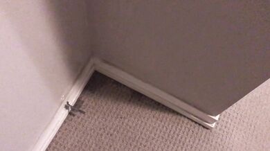 Pissing all over my bedroom carpet and wall, leave a huge messy puddle