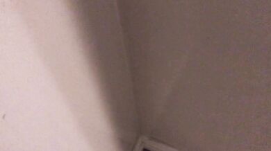 Pissing all over my bedroom carpet and wall, leave a huge messy puddle