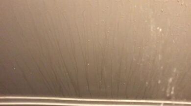 Power Pissing All Over My Hallway Walls and Floor