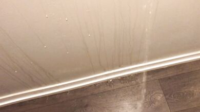 Power Pissing All Over My Hallway Walls and Floor