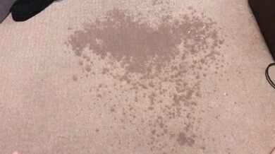 Pissing on my Bedroom Carpet in the Middle of the Night