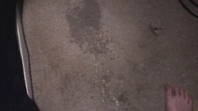 Pissing on my Bedroom Carpet in the Middle of the Night