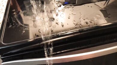 Pissing all over my kitchen stove and floor