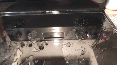 Pissing all over my kitchen stove and floor