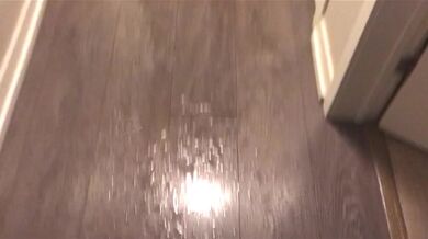 Power Pissing All Over My Hallway Floor