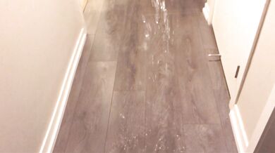 Power Pissing All Over My Hallway Floor