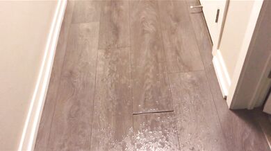 Power Pissing All Over My Hallway Floor