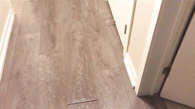 Power Pissing All Over My Hallway Floor