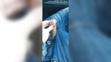 Wife play with my dick when I drive