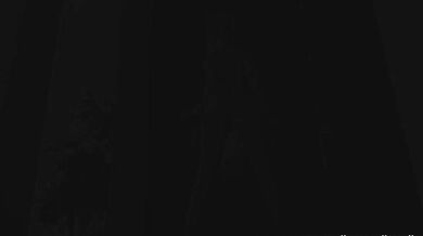 Ana Lucia Fernandes - DBRZ