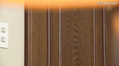 Sora Shiina Reducing HD