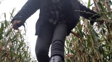 Halloween Week! A Naughty Flash In The Corn Maze