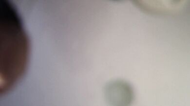 Amateur wife doing housework naked. Latina with hairy pussy, big ass.