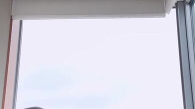 Romanlettuce / mulaniscreamy / foreignlotus