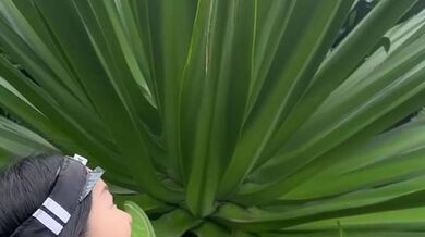 Tami Tran (Lovetami) | fittammy