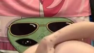 Baked veggie close up