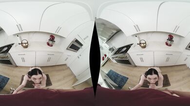 ???????????????? ???????????????????? [????????????????????????????]