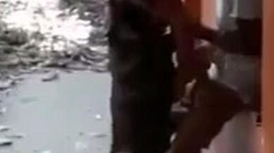 Indonesian Young Couple Outdoor Sex