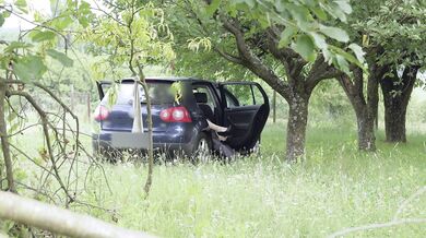 Ce voyeur lui plait, elle fait l amour avec lui dans sa voiture. Sexe et voyeurisme.