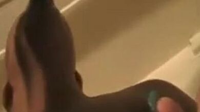 Tatted hood bbw ebony