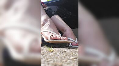 Good day wishes ????