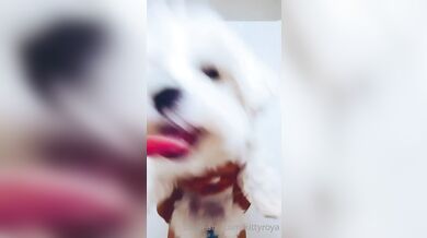 ? by kittyroya from OnlyFans | Coomer