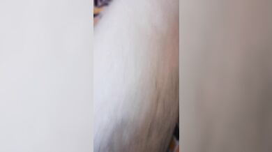 Mexican CASTING for the first time, and ENDS FUCKED by stranger