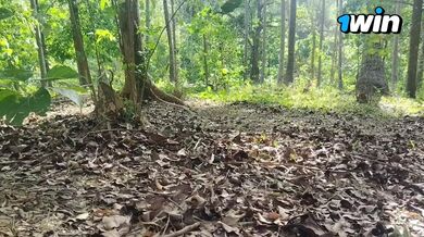 Outdoor masturbation by Pinoykangkarot