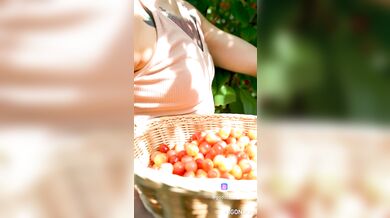 Ripe Cherry - First Day of Summer 2025