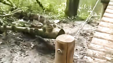 Teen Town Das Beste Aus #1 (German) (AI Upscale Smooth)