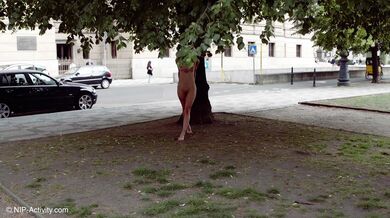 PNIP V1 4DEL4 - Adelle Unicorn