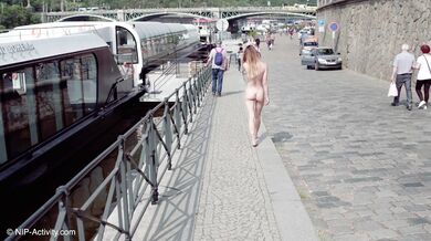 PNIP V1 4DEL4 - Adelle Unicorn