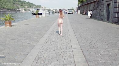 PNIP V1 4DEL4 - Adelle Unicorn