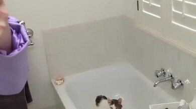 ? by pinipy from OnlyFans | Coomer