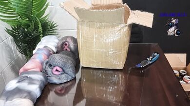 Unboxing / Review of order from Delices Defendus. Masturbators and Dildo (NOT SPONSORED)