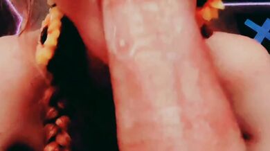 Drew Berry Swallows Vol.1