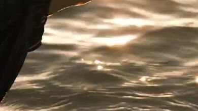 TEST CPP UPOAD DEC19