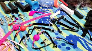 Our toy collection. Comment suggestions for what toys and how you want them used in our next video